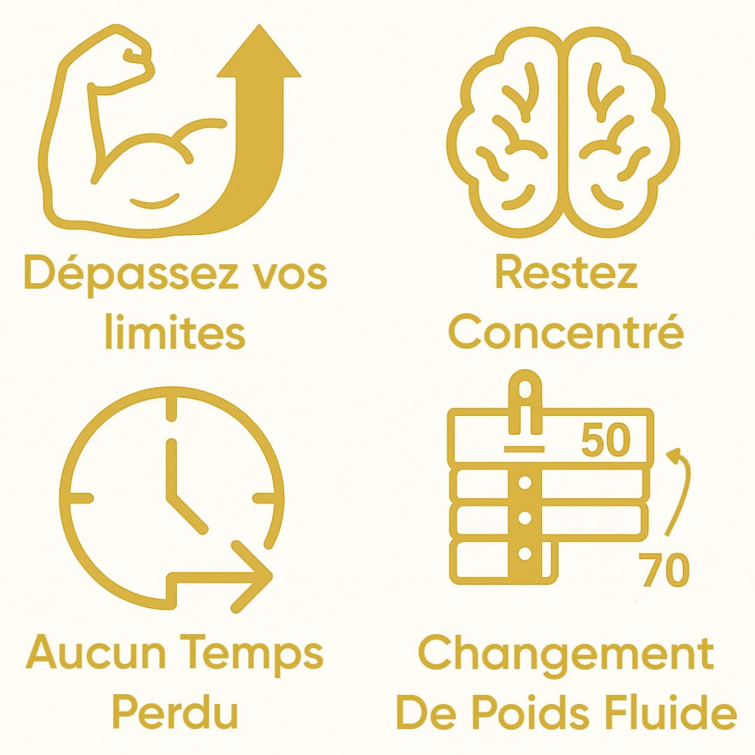 Icons describing Pintryx advantages in french.